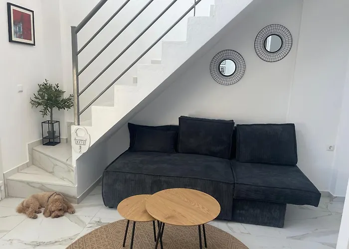 Anastasia B Ofrinion